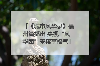 《城市风华录》福州篇播出 央视“风华团”来榕享福气