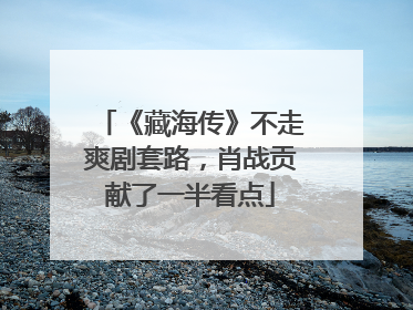 《藏海传》不走爽剧套路，肖战贡献了一半看点