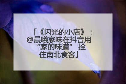 《闪光的小店》：@晨曦家味在抖音用 “家的味道” 拴住南北食客