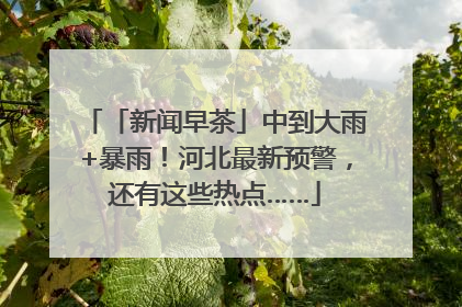 「新闻早茶」中到大雨+暴雨！河北最新预警，还有这些热点……