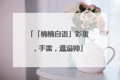 「楠楠自语」彩蛋，手雷，邋遢帅