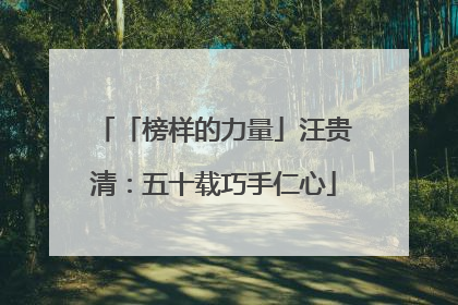 「榜样的力量」汪贵清：五十载巧手仁心