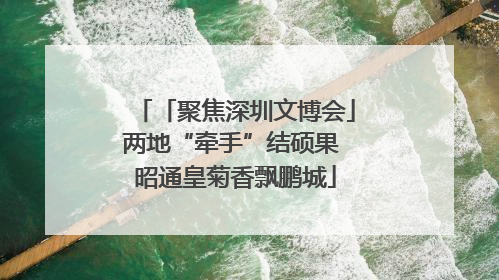 「聚焦深圳文博会」两地“牵手”结硕果 昭通皇菊香飘鹏城