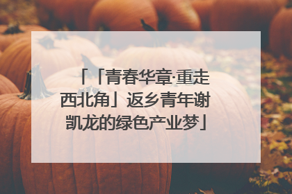 「青春华章·重走西北角」返乡青年谢凯龙的绿色产业梦