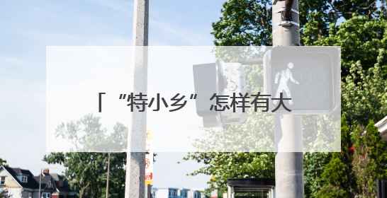 “特小乡”怎样有大作为 刘亭：有为政府和有效市场相向发力