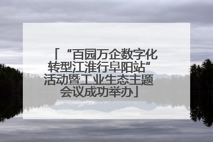 “百园万企数字化转型江淮行阜阳站”活动暨工业生态主题会议成功举办