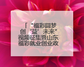 “福彩圆梦 创‘益’未来”视频征集暨山东福彩就业创业政策推介活动在东营举行