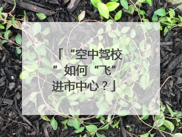 “空中驾校”如何“飞”进市中心？