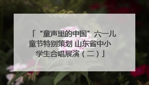 “童声里的中国”六一儿童节特别策划 山东省中小学生合唱展演（二）