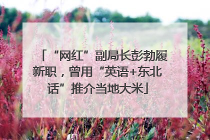 “网红”副局长彭勃履新职，曾用“英语+东北话”推介当地大米