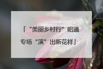 “美丽乡村行”昭通专场“演”出新花样