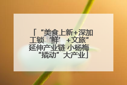 “美食上新+深加工锁‘鲜’+文旅”延伸产业链 小杨梅“撬动”大产业