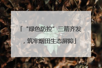 “绿色防控”三箭齐发，筑牢烟田生态屏障