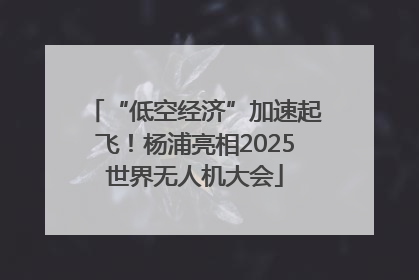 “低空经济”加速起飞！杨浦亮相2025世界无人机大会
