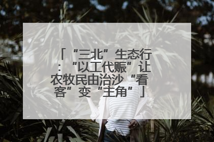 “三北”生态行：“以工代赈”让农牧民由治沙“看客”变“主角”