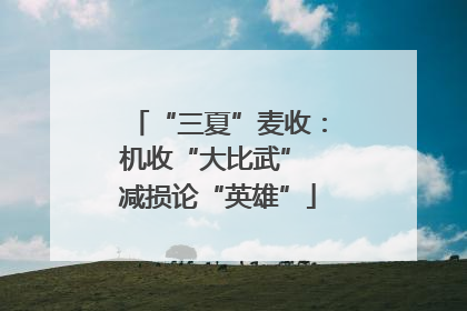 “三夏”麦收：机收“大比武” 减损论“英雄”
