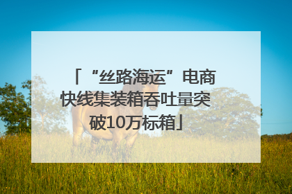 “丝路海运”电商快线集装箱吞吐量突破10万标箱