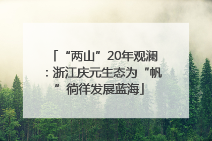 “两山”20年观澜：浙江庆元生态为“帆”徜徉发展蓝海