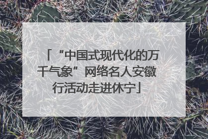 “中国式现代化的万千气象”网络名人安徽行活动走进休宁