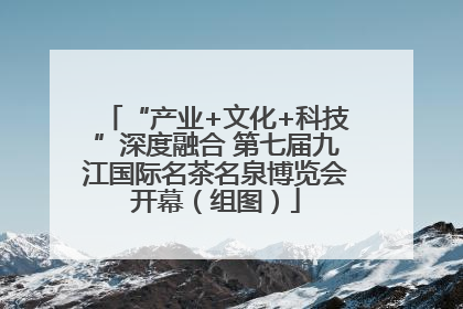 “产业+文化+科技”深度融合 第七届九江国际名茶名泉博览会开幕（组图）