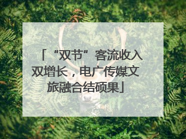 “双节”客流收入双增长，电广传媒文旅融合结硕果