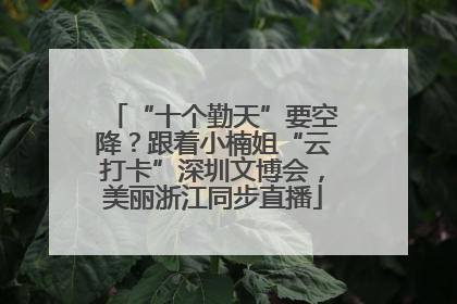 “十个勤天”要空降？跟着小楠姐“云打卡”深圳文博会，美丽浙江同步直播