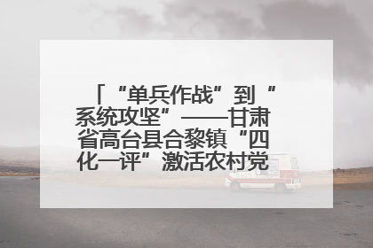 “单兵作战”到“系统攻坚”——甘肃省高台县合黎镇“四化一评”激活农村党员管理新引擎