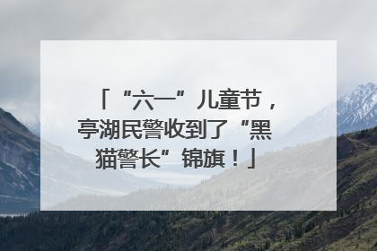 “六一”儿童节，亭湖民警收到了“黑猫警长”锦旗！