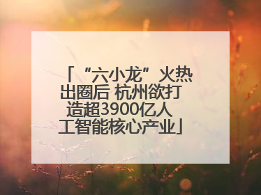 “六小龙”火热出圈后 杭州欲打造超3900亿人工智能核心产业