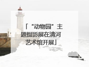 “动物园”主题摄影展在清河艺术馆开展