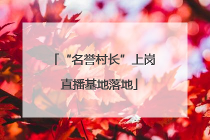 “名誉村长”上岗 直播基地落地