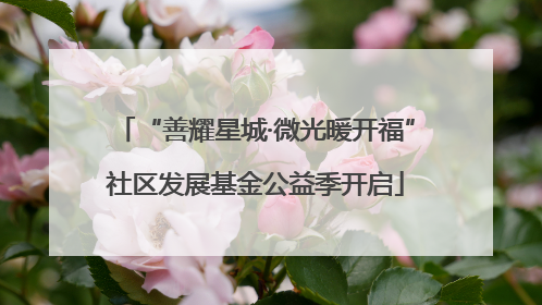 “善耀星城·微光暖开福”社区发展基金公益季开启