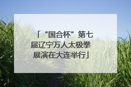 “国合杯”第七届辽宁万人太极拳展演在大连举行