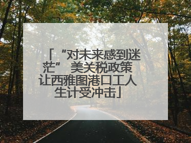 “对未来感到迷茫” 美关税政策让西雅图港口工人生计受冲击