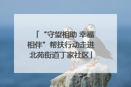 “守望相助 幸福相伴”帮扶行动走进北苑街道丁家社区