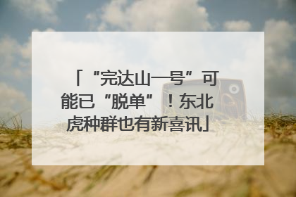 “完达山一号”可能已“脱单”！东北虎种群也有新喜讯