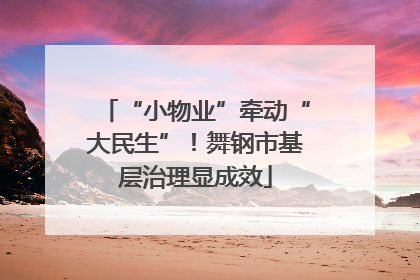 “小物业”牵动“大民生”！舞钢市基层治理显成效