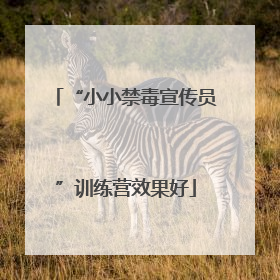 “小小禁毒宣传员”训练营效果好