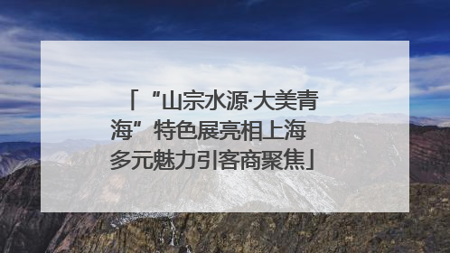 “山宗水源·大美青海”特色展亮相上海 多元魅力引客商聚焦