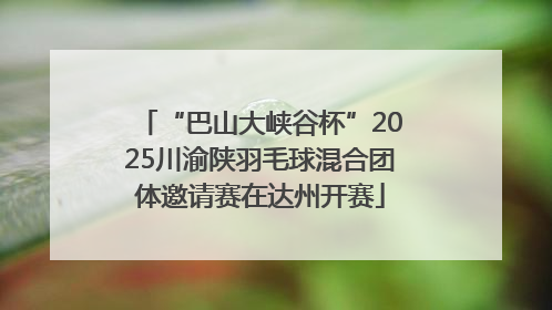 “巴山大峡谷杯”2025川渝陕羽毛球混合团体邀请赛在达州开赛