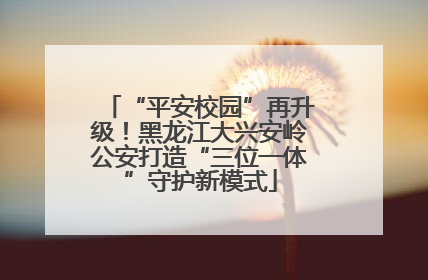 “平安校园”再升级！黑龙江大兴安岭公安打造“三位一体”守护新模式