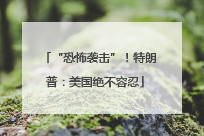 “恐怖袭击”！特朗普：美国绝不容忍