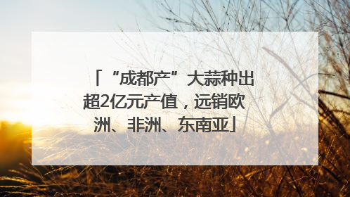 “成都产”大蒜种出超2亿元产值，远销欧洲、非洲、东南亚