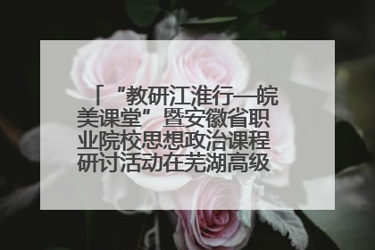 “教研江淮行—皖美课堂”暨安徽省职业院校思想政治课程研讨活动在芜湖高级职业技术学校举行