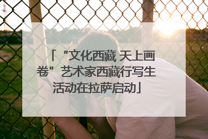 “文化西藏 天上画卷”艺术家西藏行写生活动在拉萨启动