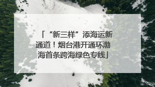 “新三样”添海运新通道！烟台港开通环渤海首条跨海绿色专线