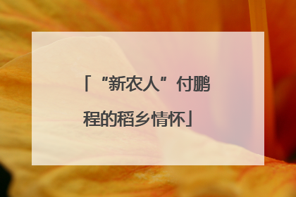 “新农人”付鹏程的稻乡情怀