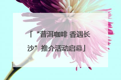 “普洱咖啡 香遇长沙”推介活动启幕