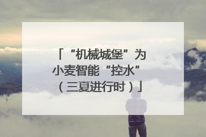 “机械城堡”为小麦智能“控水”（三夏进行时）