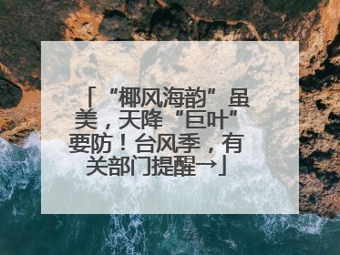 “椰风海韵”虽美，天降“巨叶”要防！台风季，有关部门提醒→